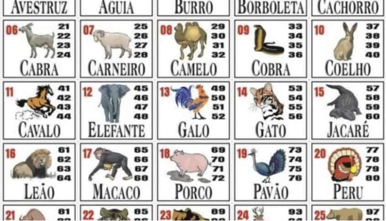 Sonhar com sapo jogo do bicho é sinal de sorte? Descubra!